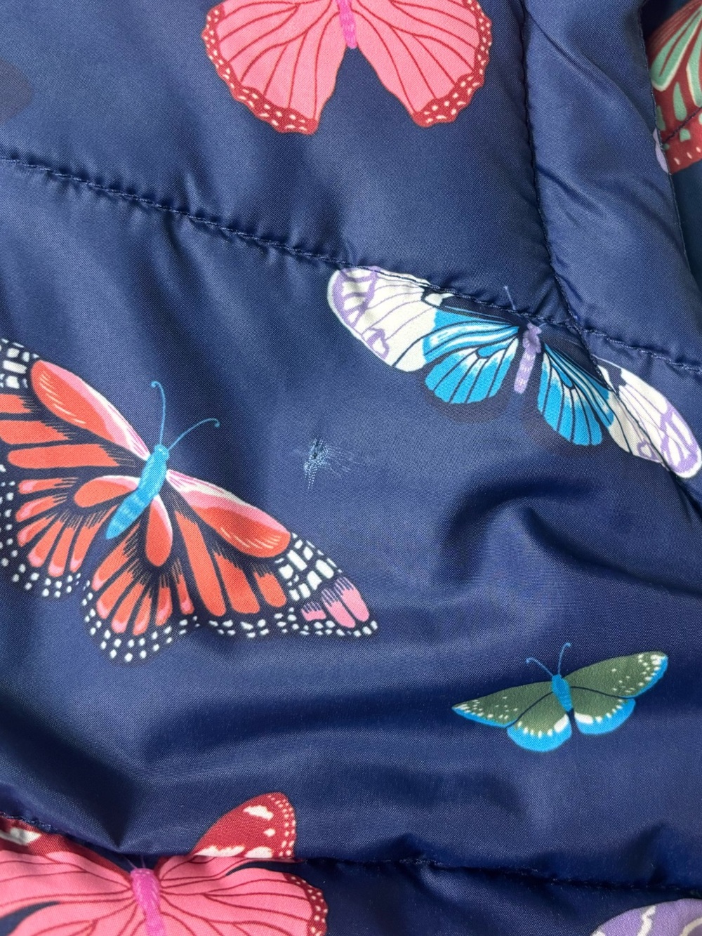 Mini Boden 2-in-1 Padded Coat in Navy Butterflies / 13-14 Years - Picture 10 of 10